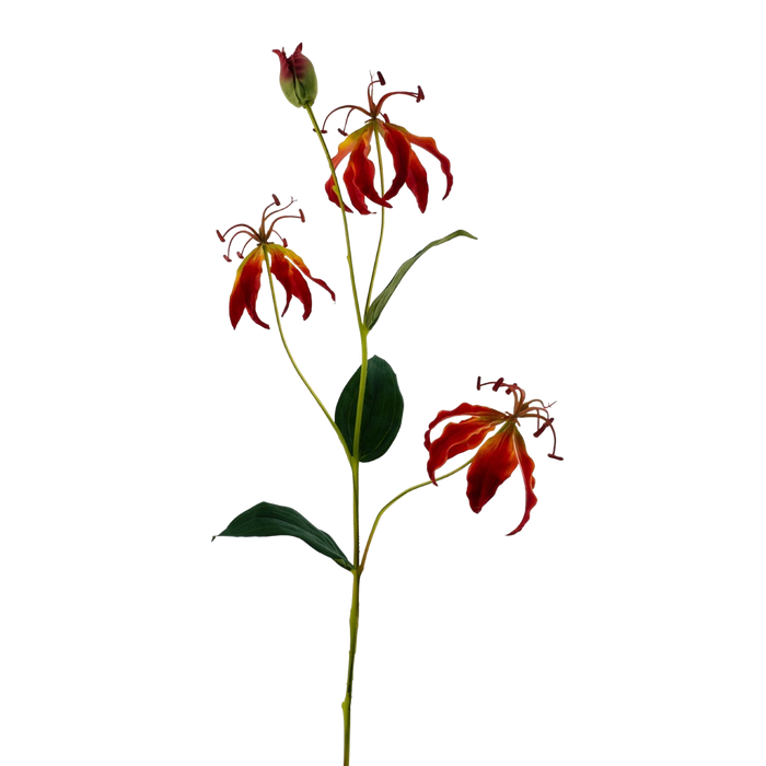 GLORIOSA LILY ORANGE 82CM