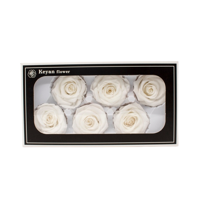 FOREVER ROSES 6PCS WHITE 6CM
