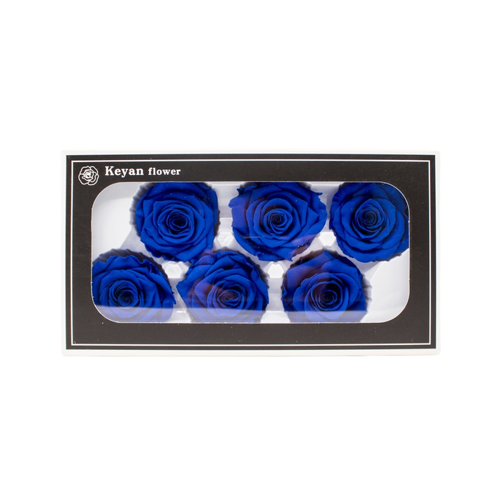 FOREVER ROSES 6PCS BLUE 6CM