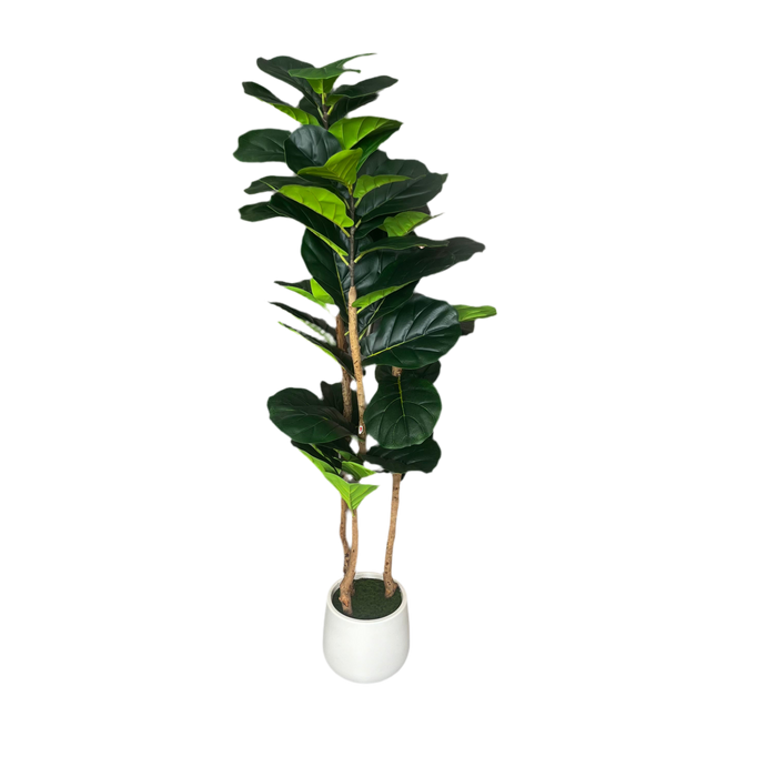 AFTIFICIAL FICUS LYRATA TREE 153CM