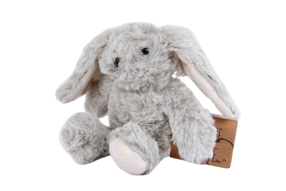 TAKE ME HOME RABBIT 19CM