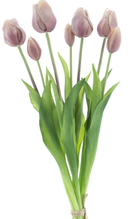 CLASSIC TULIP LAVENDER X7 47CM