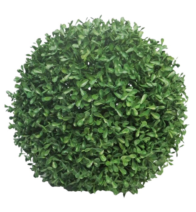 BOXWOOD 38CM 3YEARS UV
