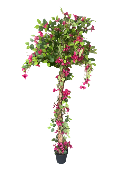 ARTIFICIAL BOUGAINVILLEA TREE 165CM