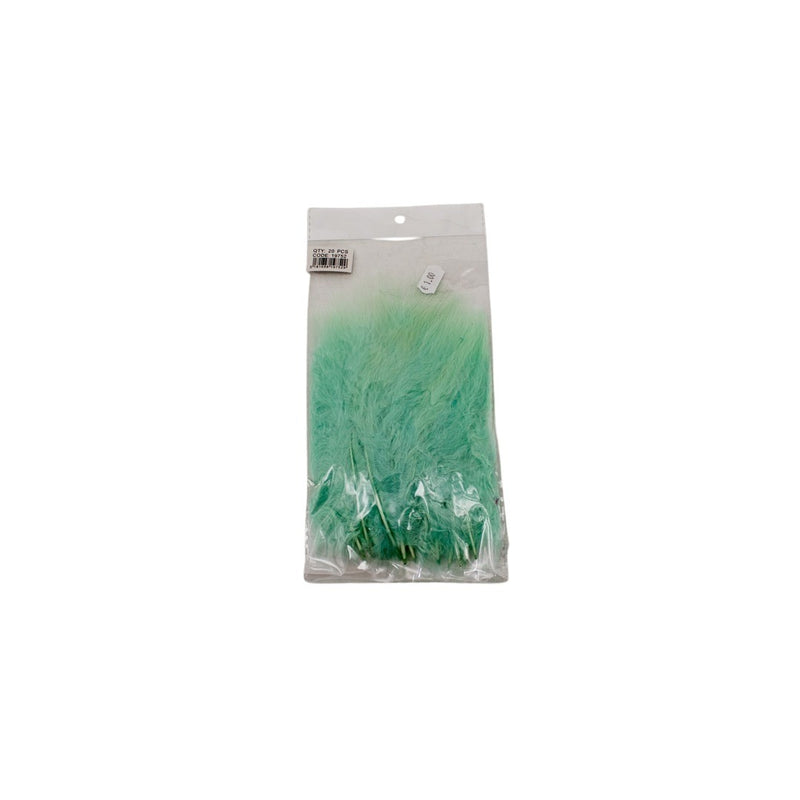 FTERA 20PCS MENTA