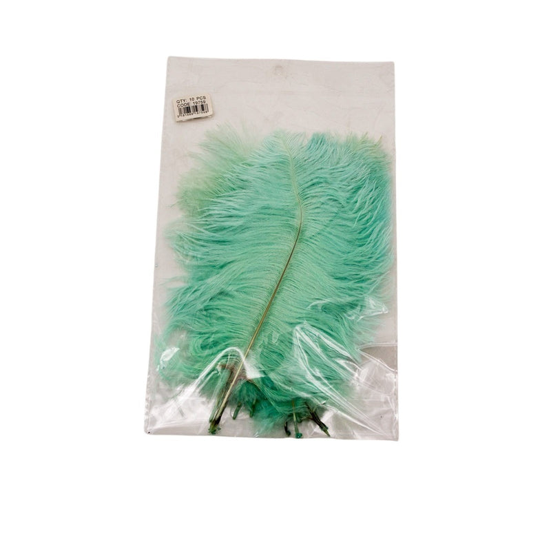 FTERA 20-25CM 10PCS MENTA
