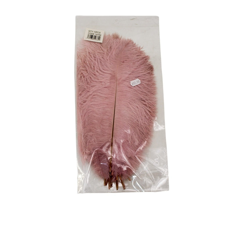 FTERA 30-35CM 10PCS SAPIO MHLO