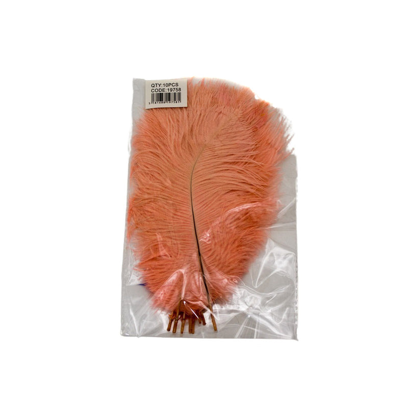 FTERA 20-25CM 10PCS PEACH