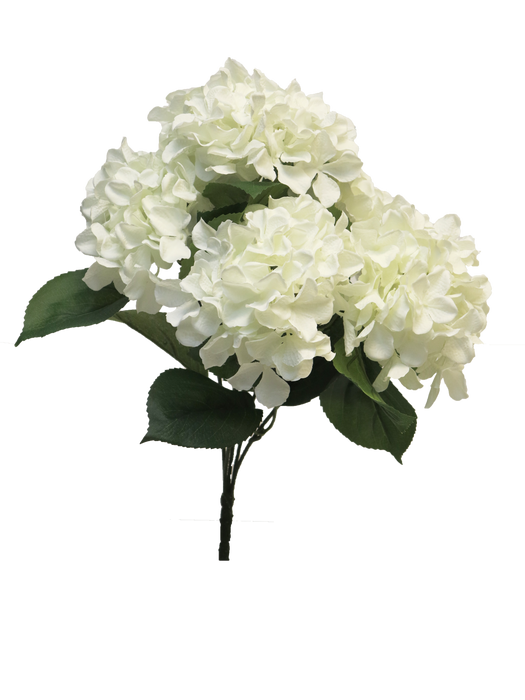 HYDRANGEA RABE X5 CREAM 45CM