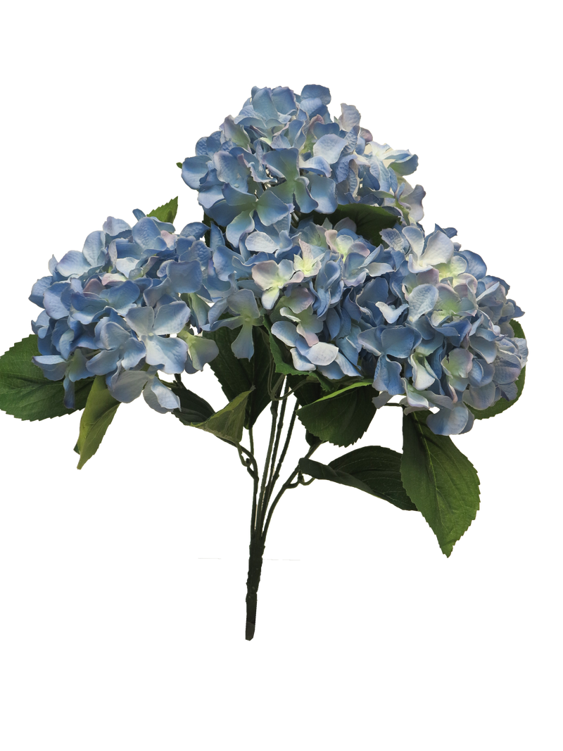 HYNDRANGEA RABE X5 BLUE 45CM