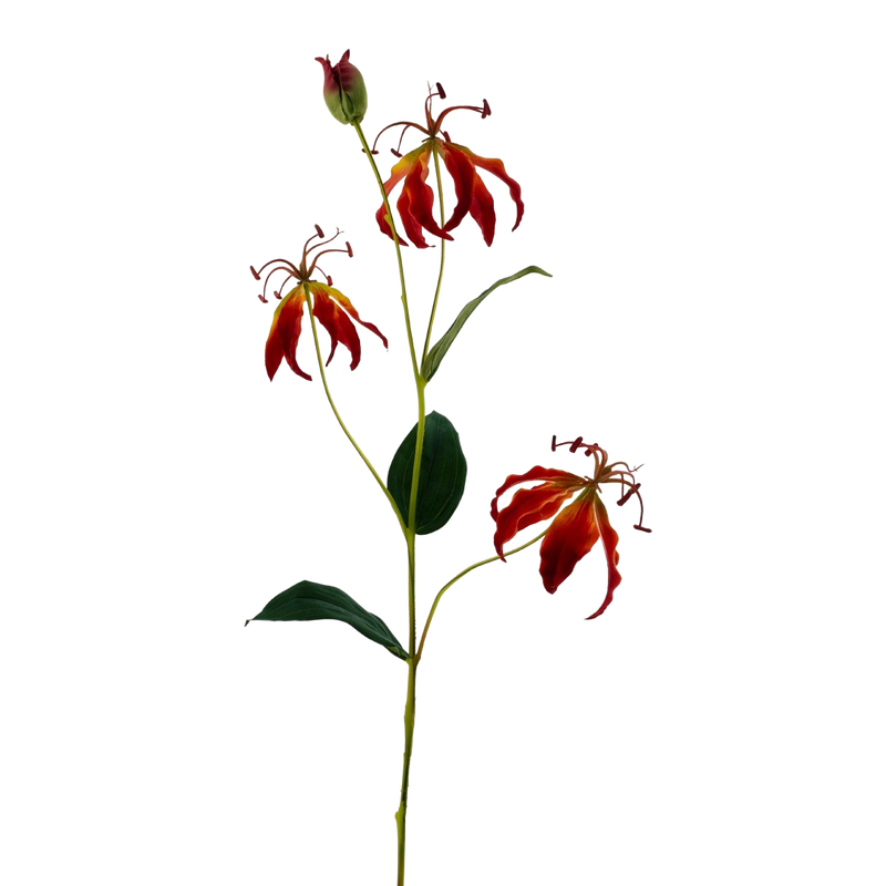GLORIOSA LILY ORANGE 82CM