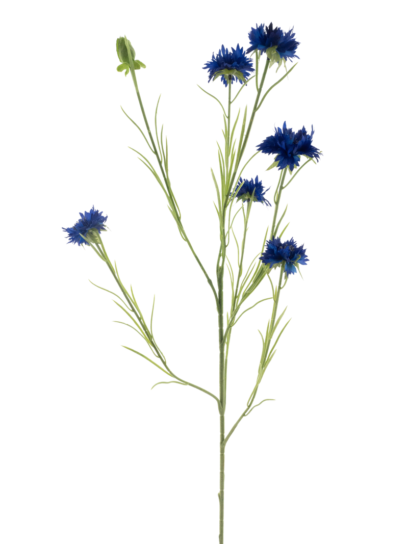 CORNFLOWER BLUE 90CM