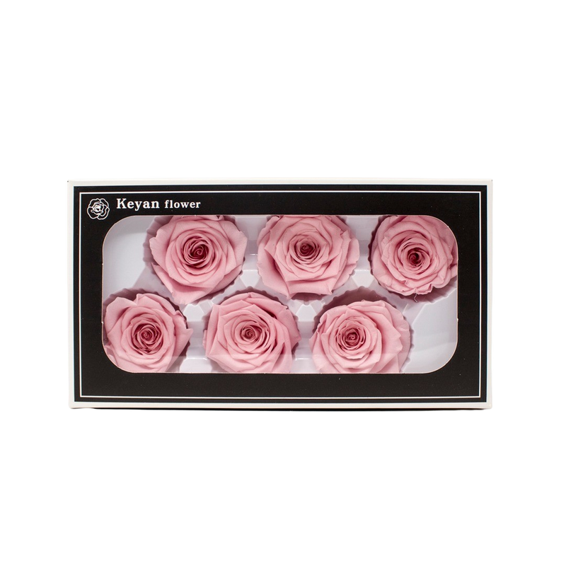 FOREVER ROSES 6PCS PINK 6CM