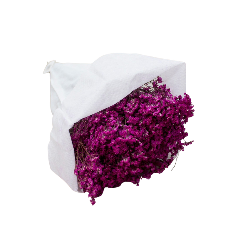 DRIED LEMONIUM PURPLE 100G