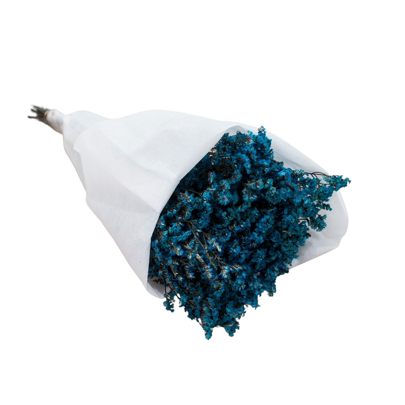DRIED LEMONIUM BLUE 100G