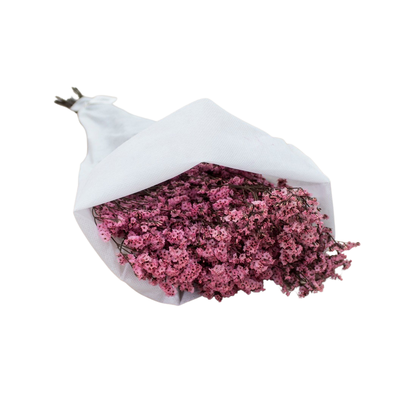 DRIED LEMONIUM PINK 100G
