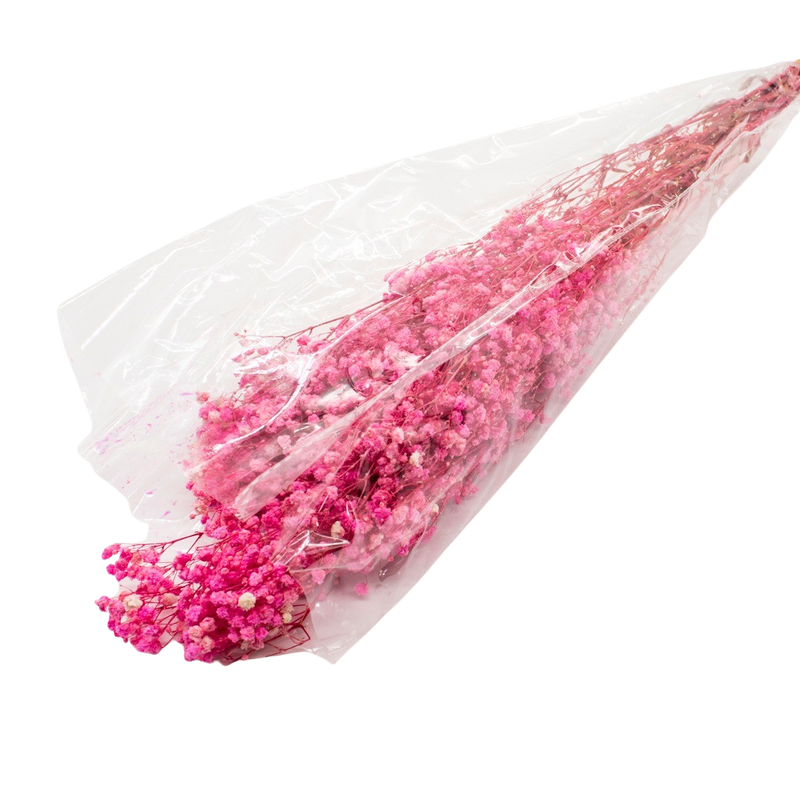 DRIED GYPSOFYLLO PINK 100G