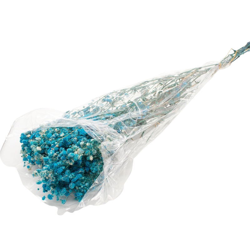 DRIED GYPSOFYLLO TURQUOISE 100G