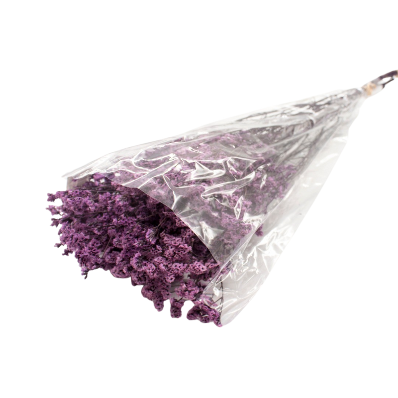 DRIED LIMONIUM PURPLE 100G