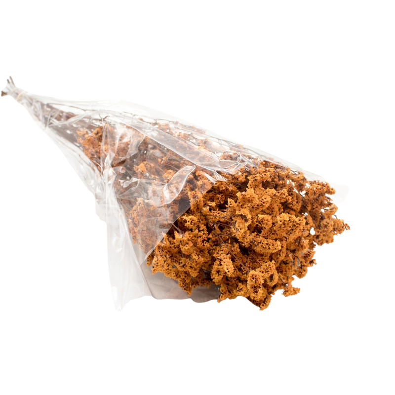 DRIED LIMONIUM ORANGE 100G