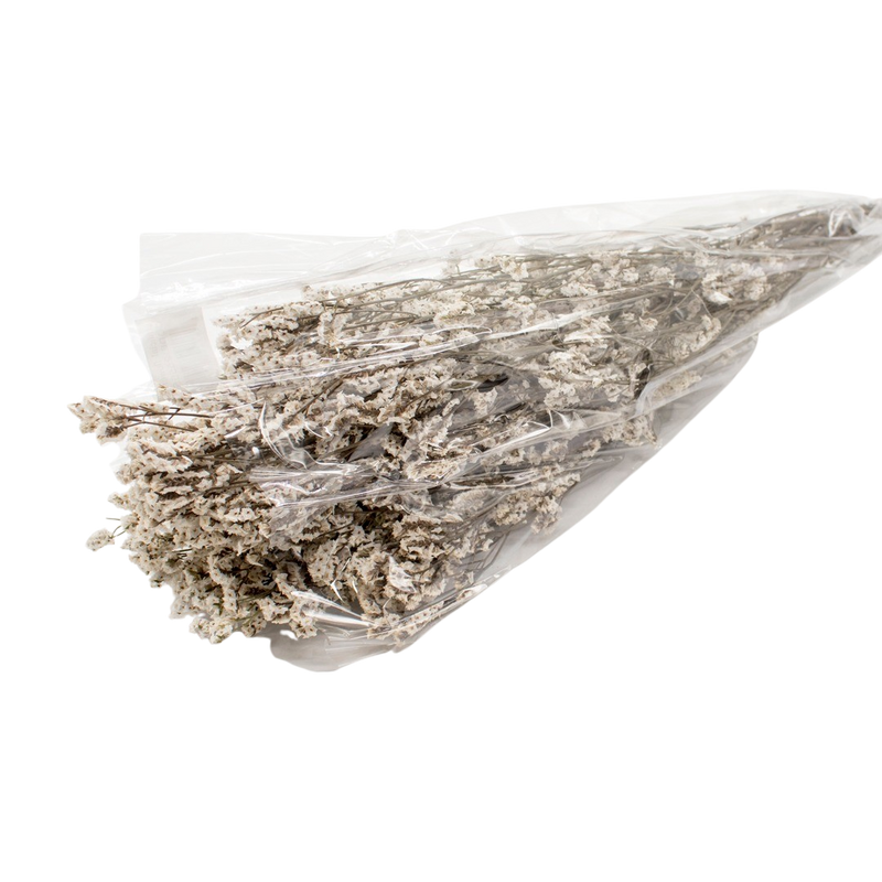 DRIED LIMONIUM WHITE 100G