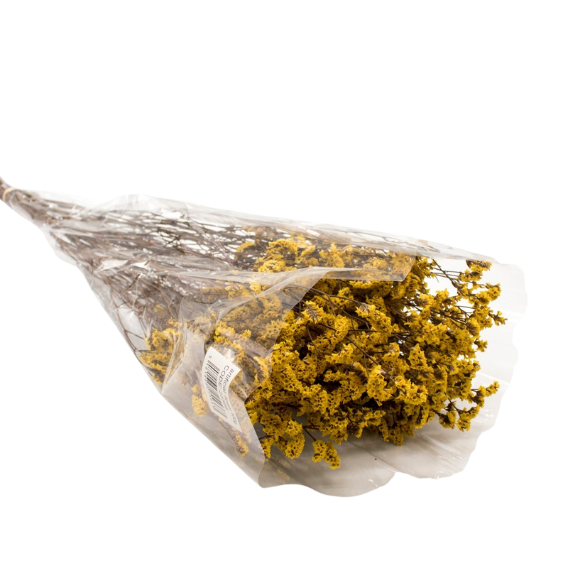 DRIED LIMONIUM YELLOW 100G
