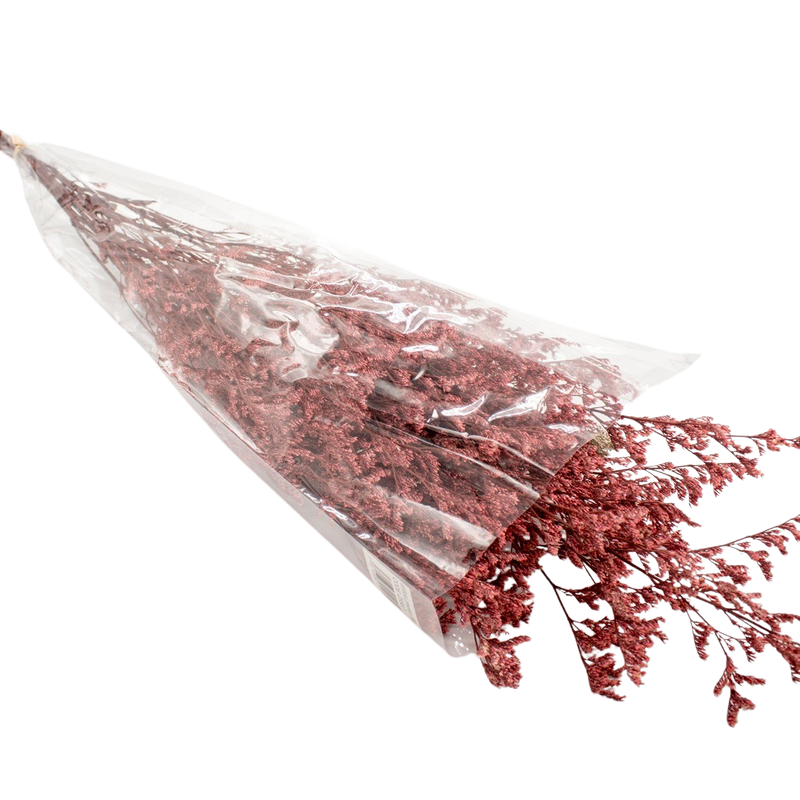 DRIED LIMONIUM L/RED 100G