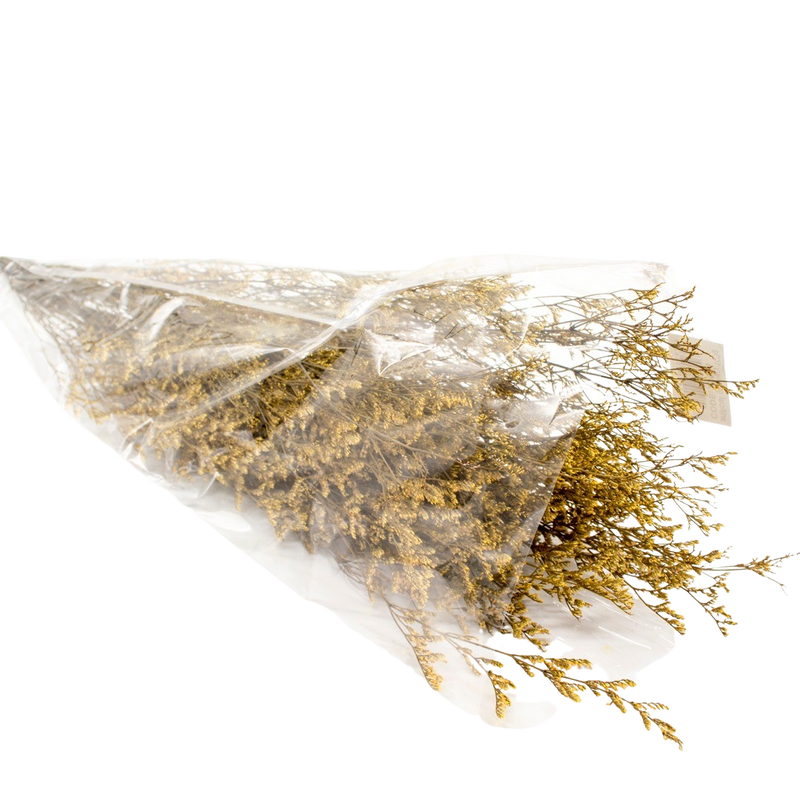 DRIED LIMONIUM YELLOW 100G