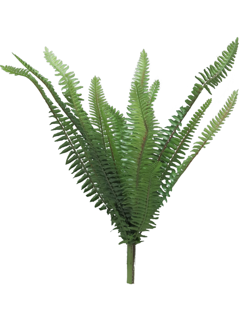 FOREST FERN GREEN 41CM