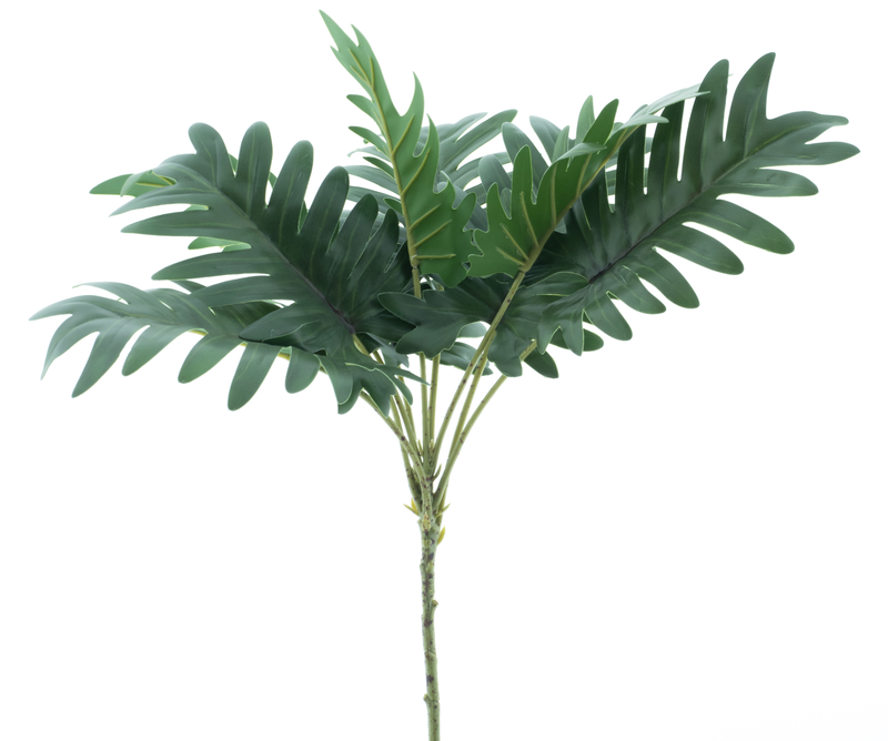 PHILIDENDRON GREEN 41CM