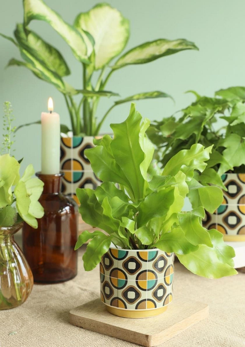 POT RETRO 13X12.5HCM