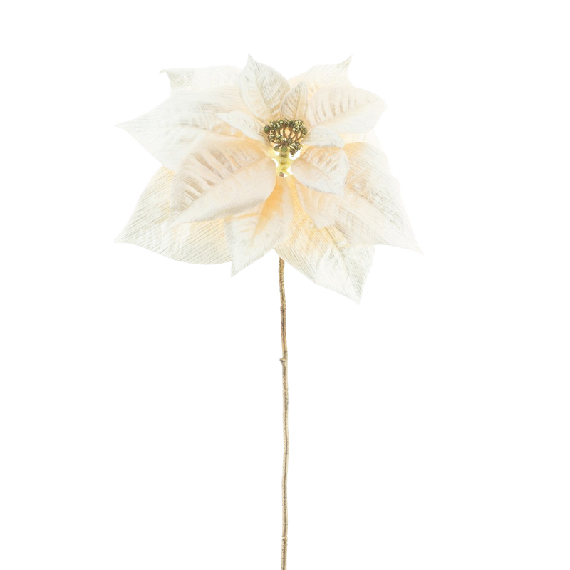 POINSETTIA CREAM 70CM