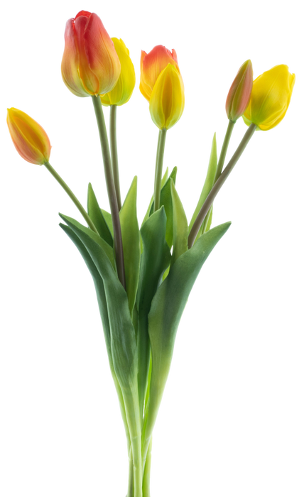 CLASSIC MIX TULIP  X7 YEL/ORG 47CM