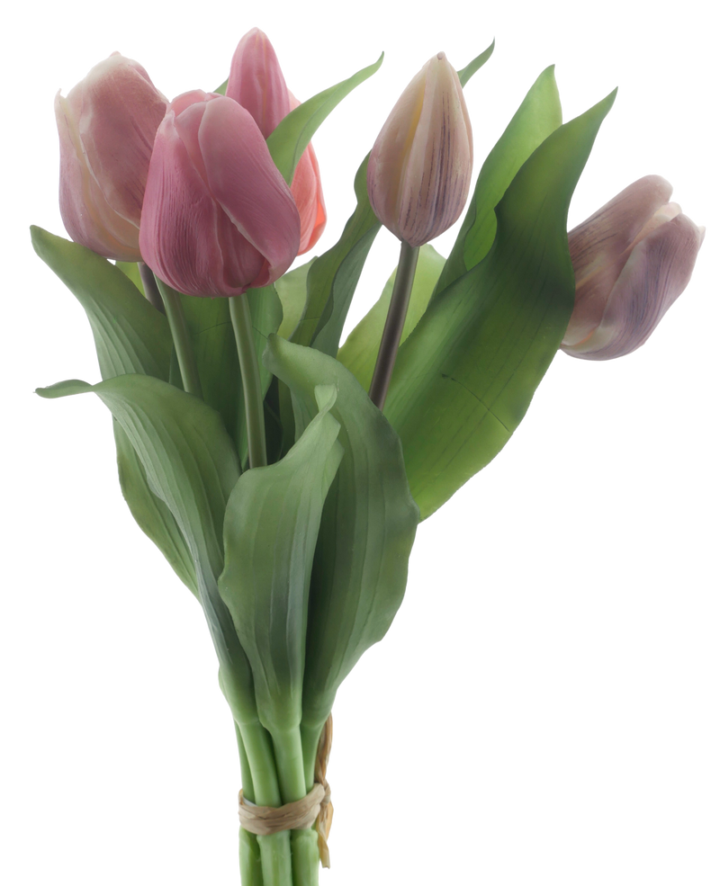 VERMEER TULIP MAUVE/PINK 31CM