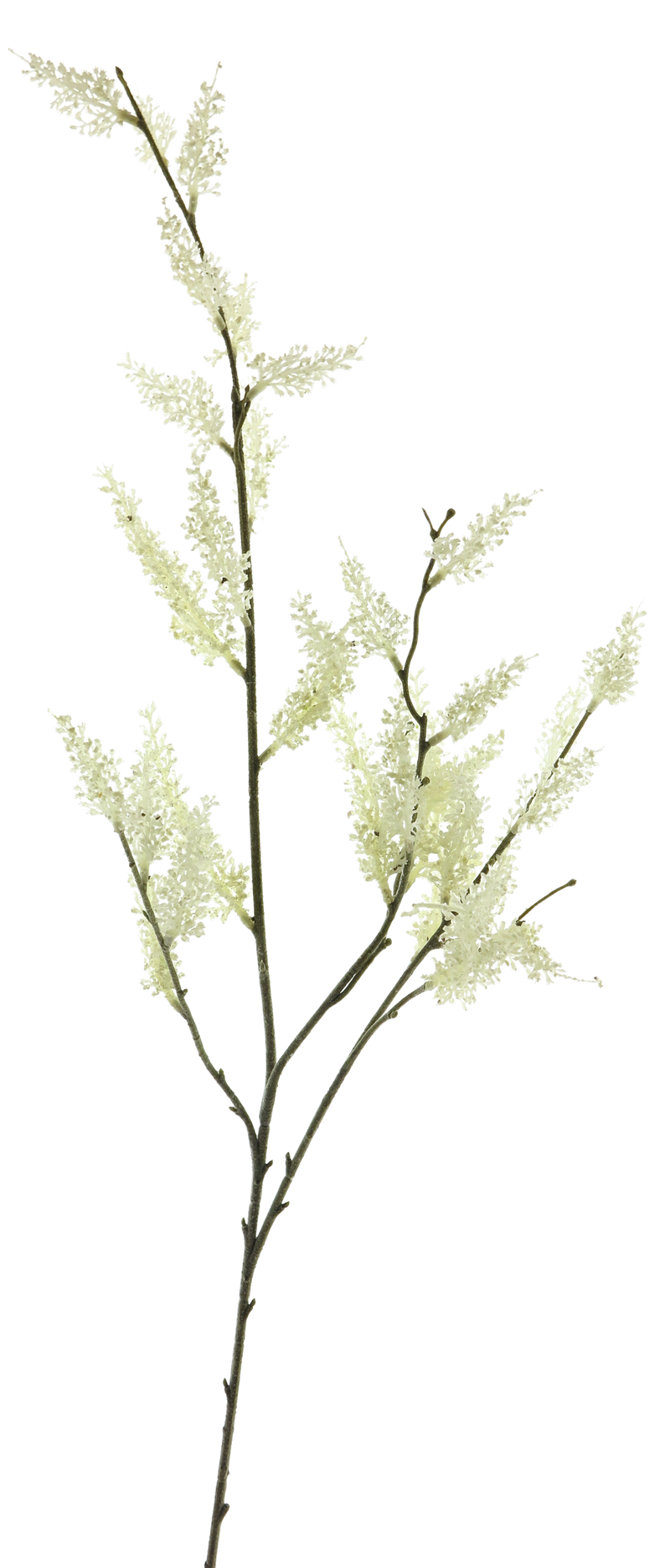 HEATHER SPRAY CREAM 103CM