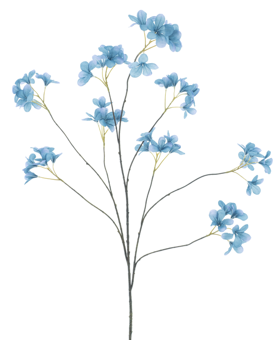 SAXIFRAGA BRANCH BLUE 130M