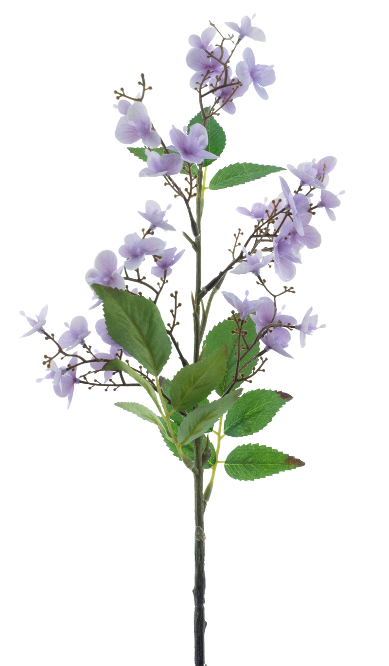 WILD ROSE PURPLE 52CM Deventor