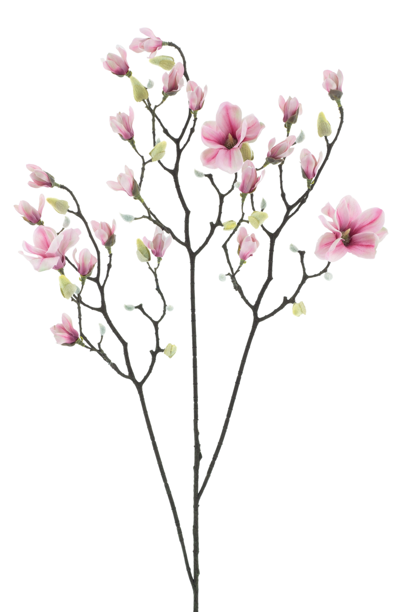 MAGNOLIA PINK 123CM