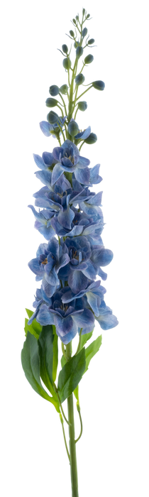 DELPHINIUM ROLAND BLUE 87CM