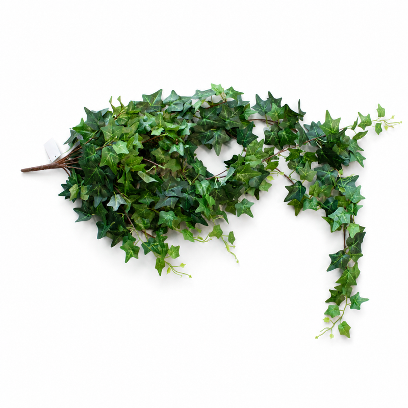 IVY 120CM KIRSUS Deventor