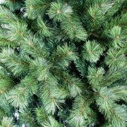 CHRISTMAS TREE 210CM X 130CM Deventor