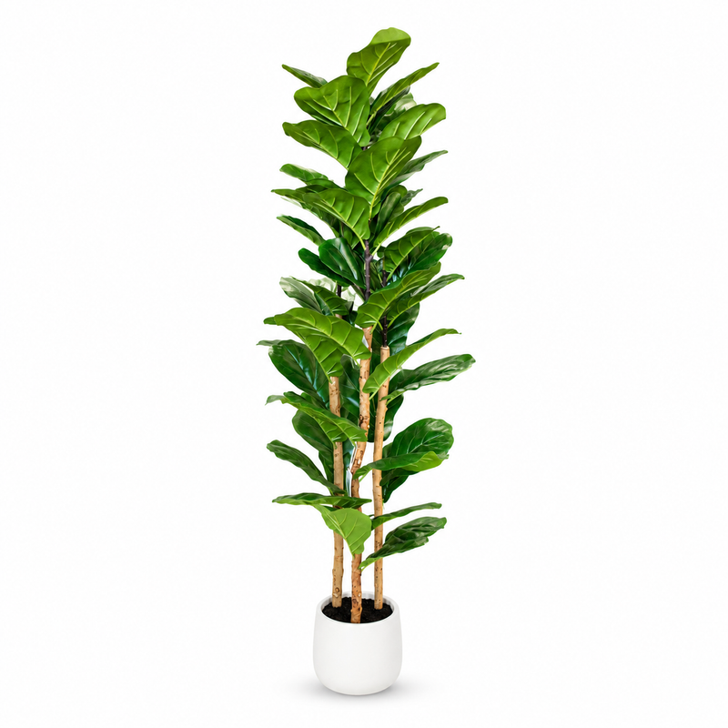 AFTIFICIAL FICUS LYRATA TREE 153CM Deventor