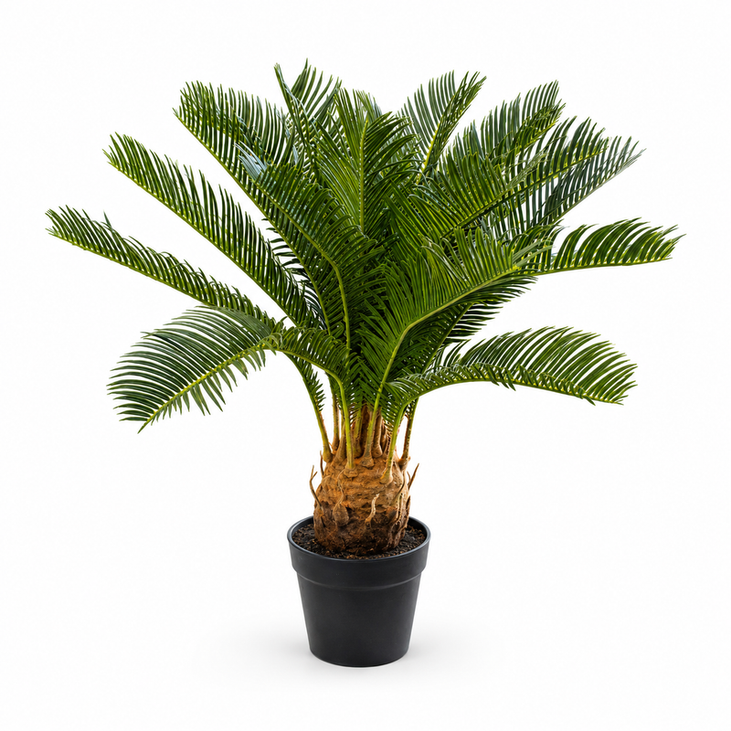ARTIFICIAL CYCAS BONSAI 60CM Deventor