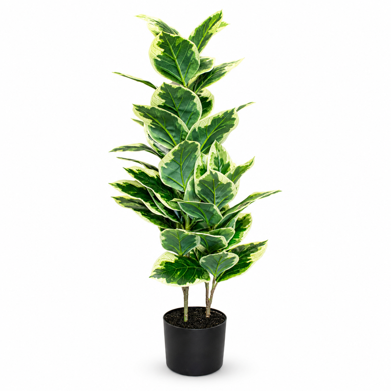 ARTIFICIAL WHITE FICUS 90CM Deventor