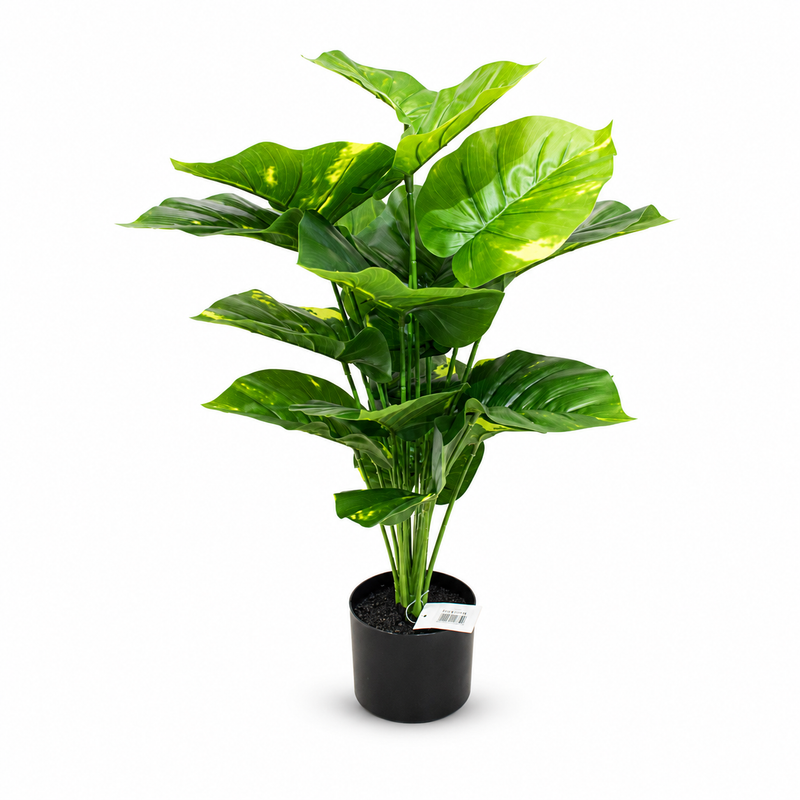 ARTIFICIAL SPOTTED POTHOS 65CM, Deventor
