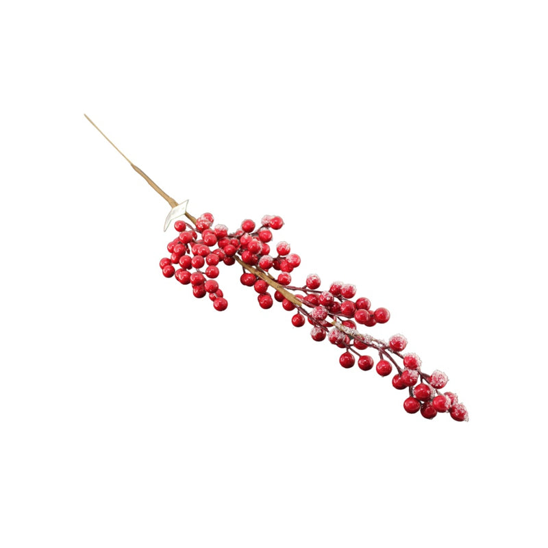 X-MAS BERRY BRANCH PH.HADJIGEORGIOU