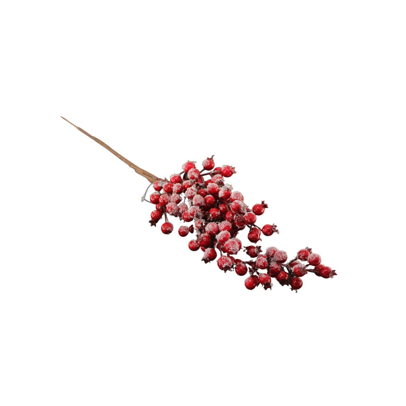 X-MAS BERRY BRANCH PH.HADJIGEORGIOU