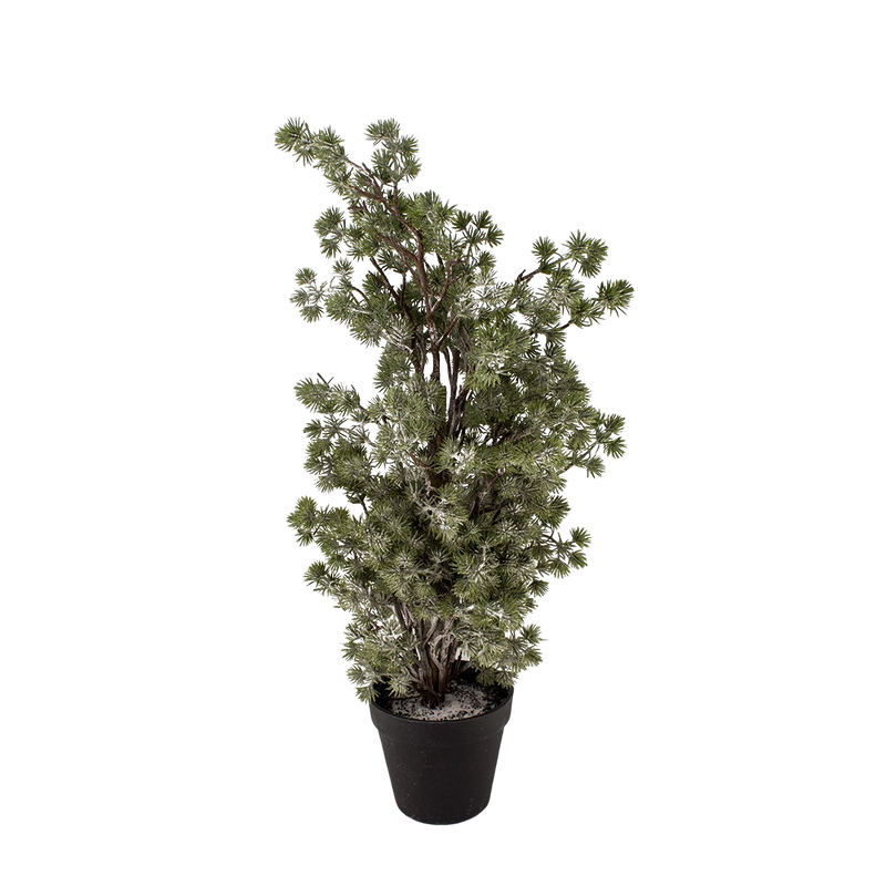 PINE TREE RENAN 60CM WITH SNOW Deventor