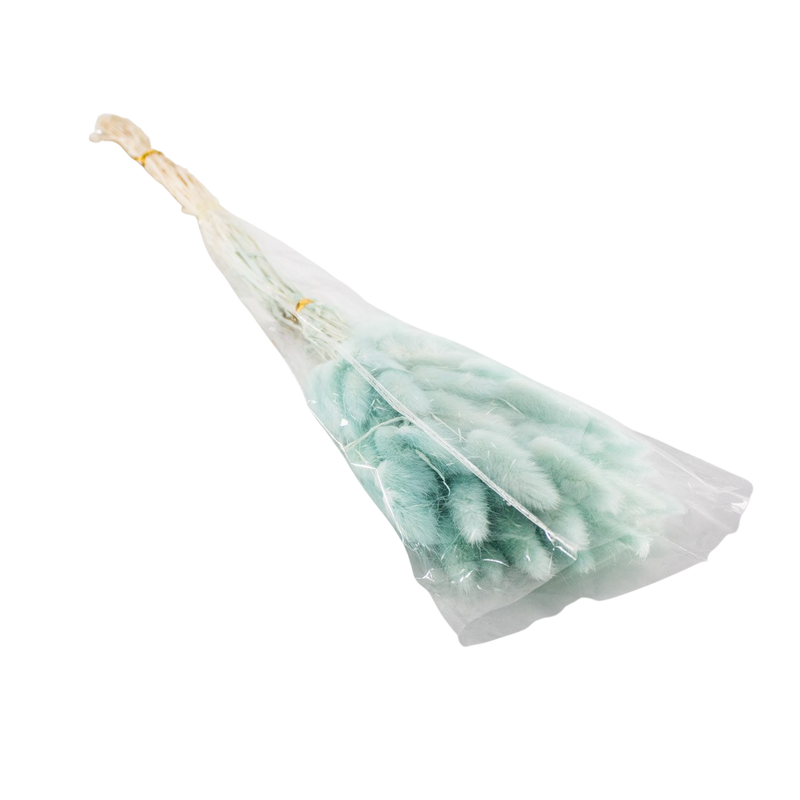 PRESERVED PLANT ASSORTED COLORS