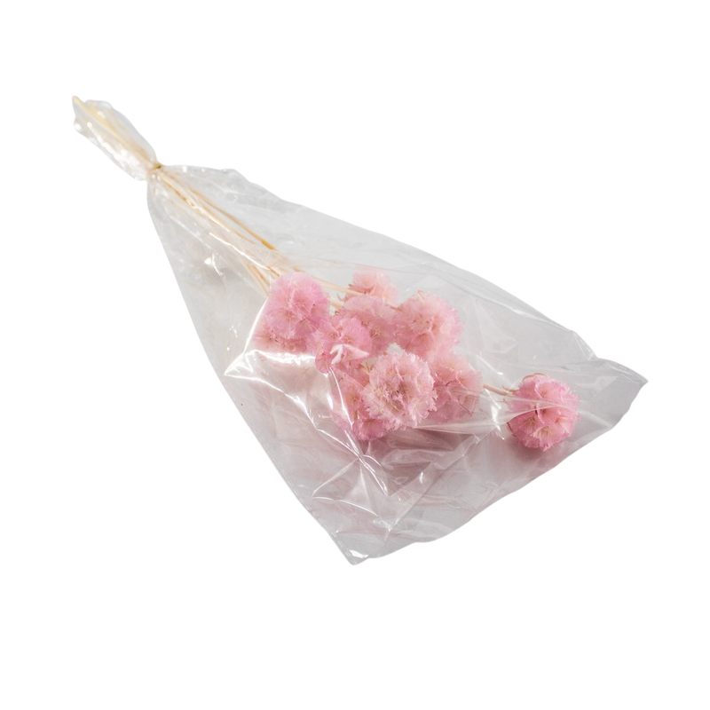 PRESERVED PLANT PINK